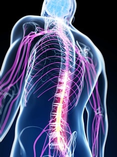 spinal cord injuries from truck accidents
