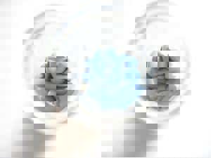 Medicine recall Van Sant Law