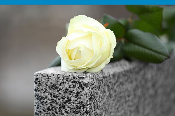 Muerte Por Negligencia